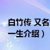 白竹传 又名女将一生（关于白竹传 又名女将一生介绍）