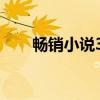 畅销小说36（关于畅销小说36介绍）
