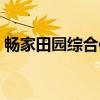 畅家田园综合体（关于畅家田园综合体介绍）