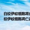 白纹伊蚊细胞凋亡通路及其对蚊媒病毒感染的影响（关于白纹伊蚊细胞凋亡通路及其对蚊媒病毒感染的影响介绍）