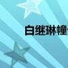 白继琳幢记（关于白继琳幢记介绍）
