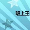 畈上王村（关于畈上王村介绍）