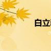 白立新（关于白立新介绍）