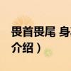 畏首畏尾 身其余几（关于畏首畏尾 身其余几介绍）