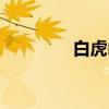 白虎山（关于白虎山介绍）