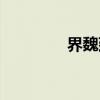 界魏延（关于界魏延介绍）