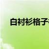 白衬衫格子裙（关于白衬衫格子裙介绍）
