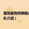 留坝县青桥驿镇志愿服务队（关于留坝县青桥驿镇志愿服务队介绍）