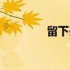 留下来（关于留下来介绍）
