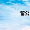 留公旋（关于留公旋介绍）