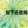 留下还是离开（关于留下还是离开介绍）