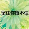 留住你留不住心（关于留住你留不住心介绍）