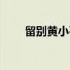 留别黄小石(关于留别黄小石介绍) 留别黄小石(关于留别黄小石介绍)