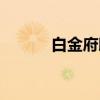 白金府邸（关于白金府邸介绍）