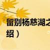 留别杨慈湖之鹅湖（关于留别杨慈湖之鹅湖介绍）