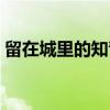 留在城里的知青（关于留在城里的知青介绍）