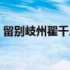 留别岐州翟千户（关于留别岐州翟千户介绍）