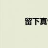 留下真情（关于留下真情介绍）