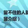 留不住的人就别再留（关于留不住的人就别再留介绍）