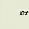 留子嗟（关于留子嗟介绍）