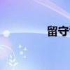留守司（关于留守司介绍）