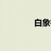 白象街（关于白象街介绍）
