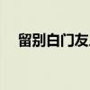 留别白门友人（关于留别白门友人介绍）