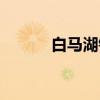 白马湖镇（关于白马湖镇介绍）