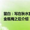 留白：写在秋水堂论金瓶梅之后（关于留白：写在秋水堂论金瓶梅之后介绍）