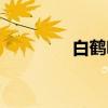 白鹤鸣(关于白鹤鸣介绍) 白鹤鸣(关于白鹤鸣介绍)