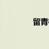 留青梳（关于留青梳介绍）