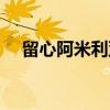 留心阿米利亚（关于留心阿米利亚介绍）