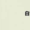 白音（关于白音介绍）