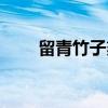 留青竹子刻（关于留青竹子刻介绍）