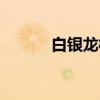 白银龙枪（关于白银龙枪介绍）