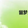 留梦炎（关于留梦炎介绍）
