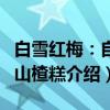 白雪红梅：自制山楂糕（关于白雪红梅：自制山楂糕介绍）
