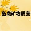 畜禽矿物质营养（关于畜禽矿物质营养介绍）