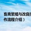 畜禽繁殖与改良技术操作流程（关于畜禽繁殖与改良技术操作流程介绍）