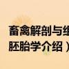 畜禽解剖与组织胚胎学(关于畜禽解剖与组织胚胎学介绍) 畜禽解剖与组织胚胎学(关于畜禽解剖与组织胚胎学介绍)