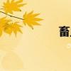 畜血(关于畜血介绍) 畜血(关于畜血介绍)