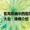 畜禽疾病中西医防治大全：猪病（关于畜禽疾病中西医防治大全：猪病介绍）