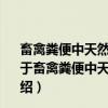 畜禽粪便中天然类固醇雌激素降解转化的C-14示踪研究（关于畜禽粪便中天然类固醇雌激素降解转化的C-14示踪研究介绍）