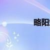 略阳站（关于略阳站介绍）
