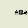 白黑乌斗（关于白黑乌斗介绍）