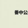 番中公路（关于番中公路介绍）