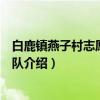 白鹿镇燕子村志愿服务大队（关于白鹿镇燕子村志愿服务大队介绍）