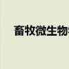 畜牧微生物学（关于畜牧微生物学介绍）