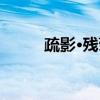 疏影·残菊（关于疏影·残菊介绍）