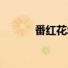 番红花城（关于番红花城介绍）